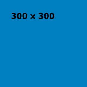 300300.png